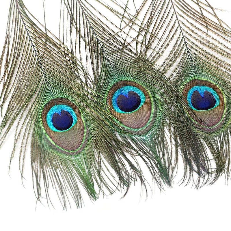 Ballinger 12 PCS Real Natural Peacock Eye Feathers 10-12 inch for DIY Craft, Wedding and Holiday Decorations - Image 3